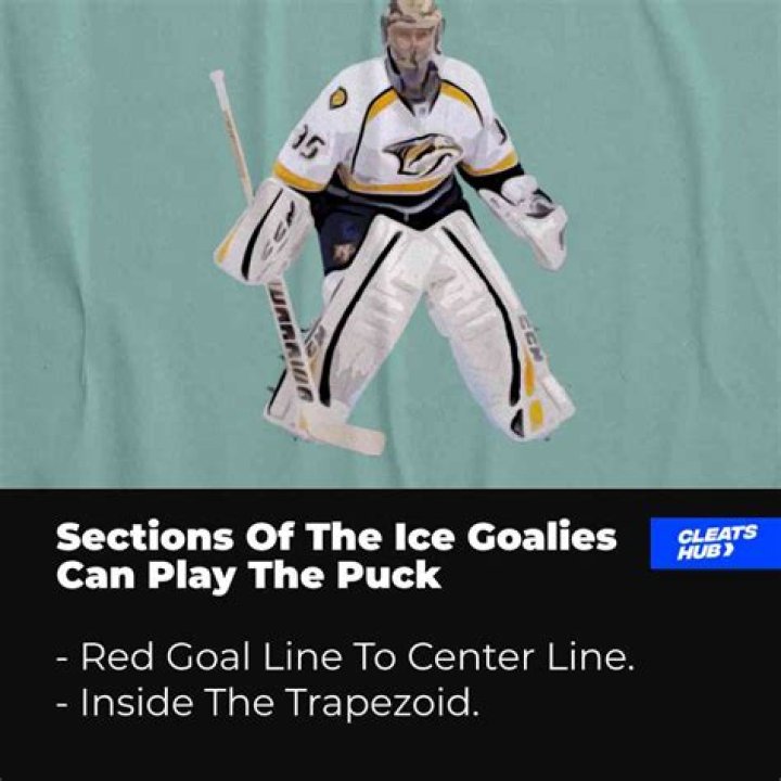 Can goalies play the puck?