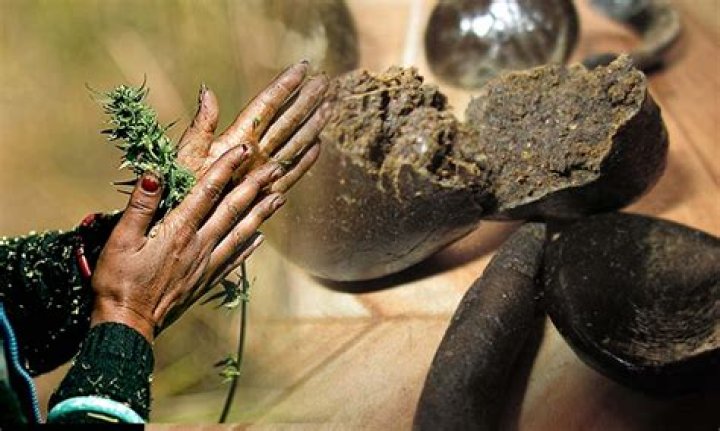 How fast is Chara's slapshot?