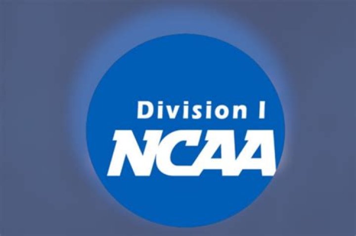 How many d1 athletes are there?