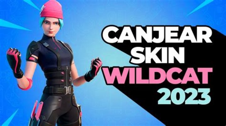 How much is wildcat skin worth?
