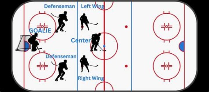 What are 10 hockey rules?