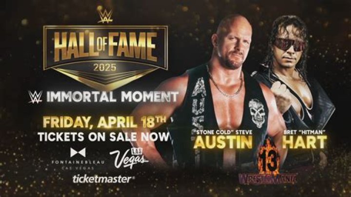 Who won Stone Cold vs Bret Hart?