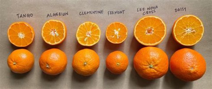 Why are oranges used in football?