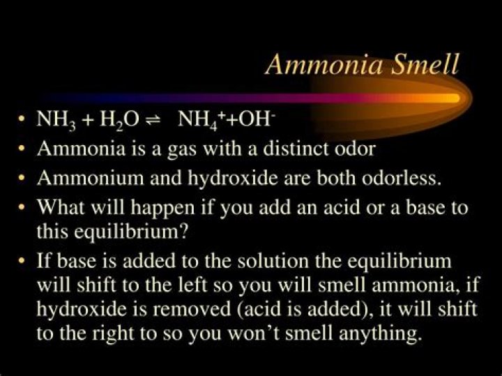 Why does skate smell of ammonia?